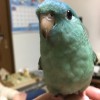 シティマラソン参加者を応援します!!