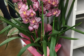 お陰さまで12周年!!